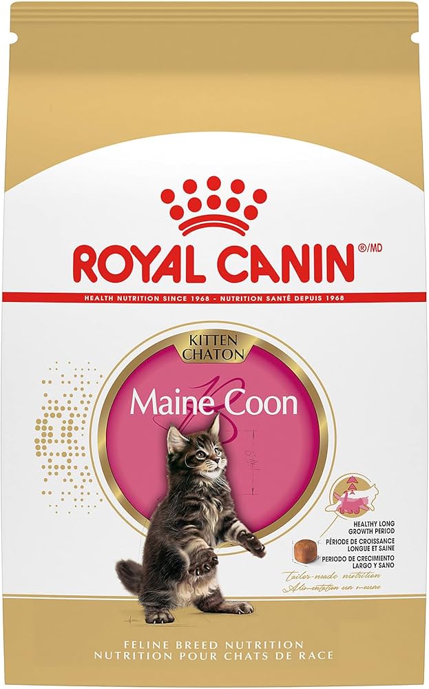 Royal Canin Maine Coon Kitten